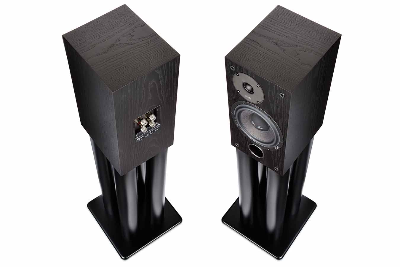 SSM1001
